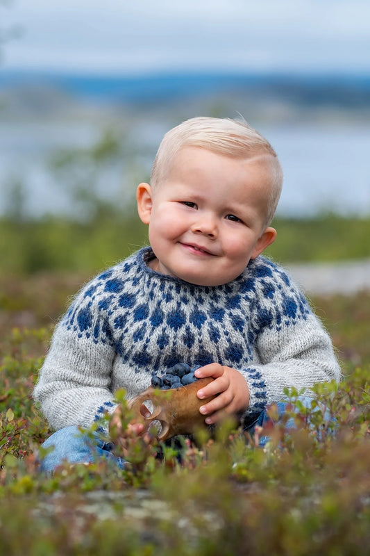 Blueberry Sweater mini - garnkit från 295kr