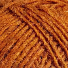 Apricot 1704