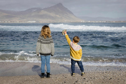 Riddari for kids - sweater in Fjallalopi