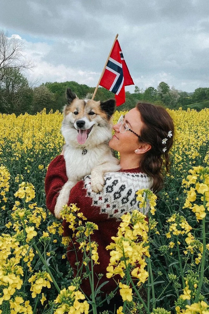 Čoarvegiella Spring (red) - garnkit från 531kr