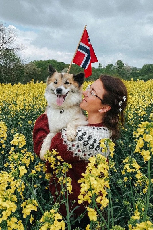 Čoarvegiella Spring (red) - garnkit från 531kr