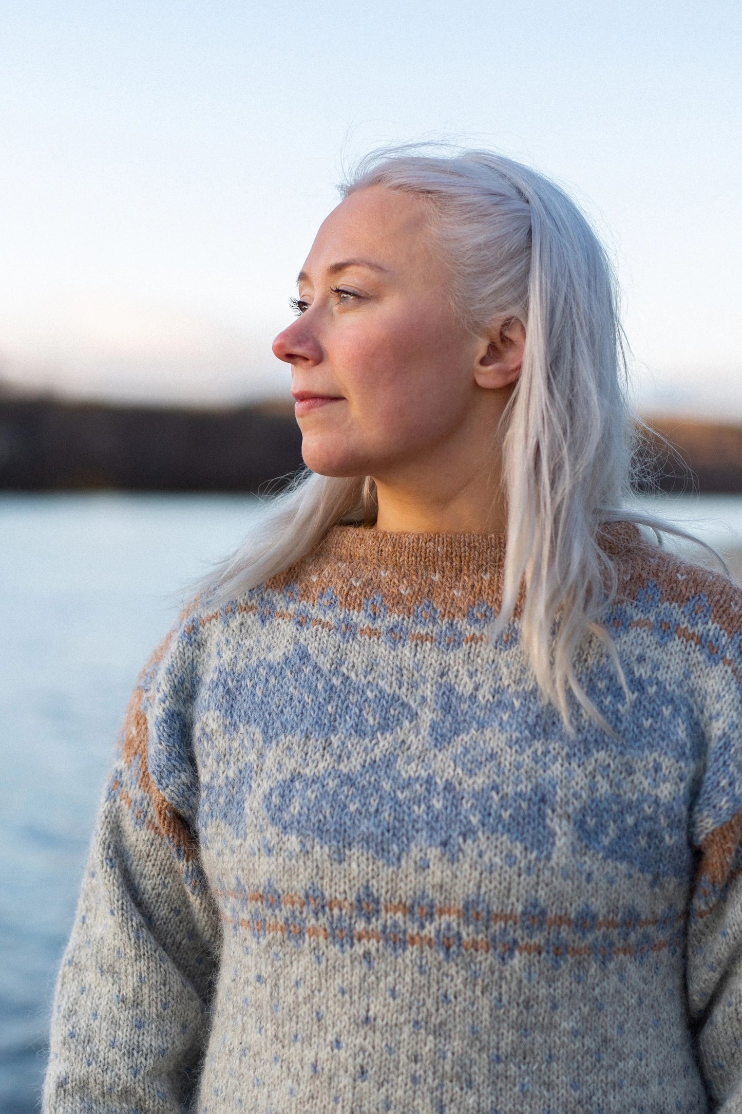 Lohi Sweater - digitalt mönster