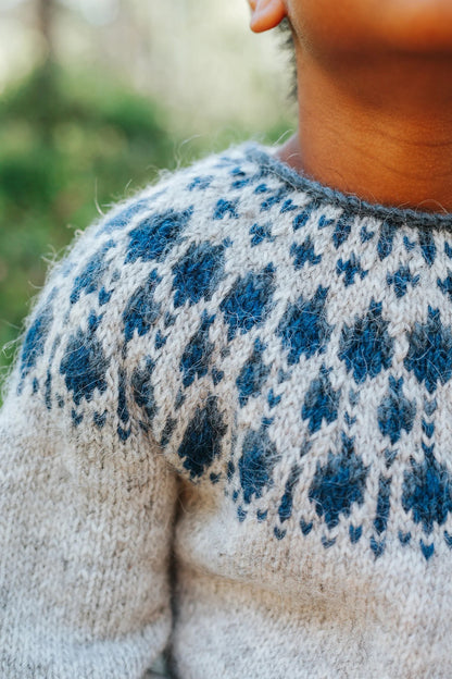 Blueberry Sweater junior - digitalt mönster