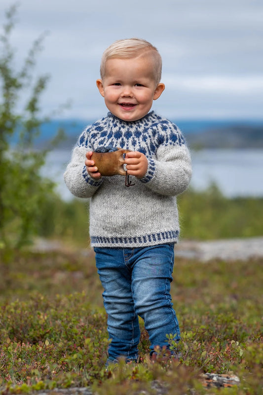 Blueberry Sweater mini - garnkit från 295kr