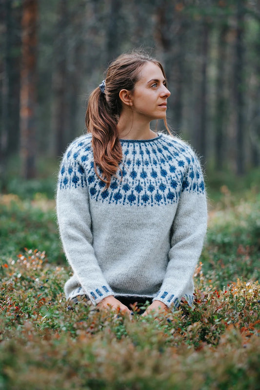Blueberry Sweater - digital pattern