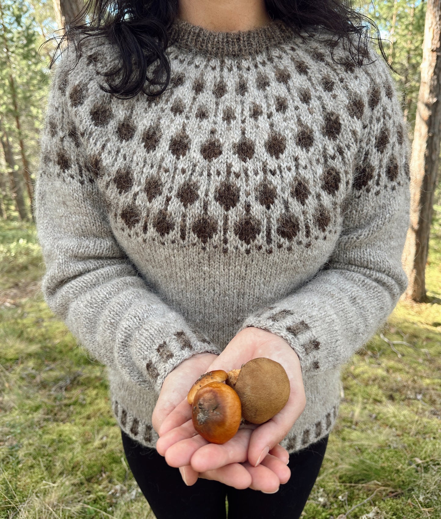 Acorn Sweater - digitalt mönster
