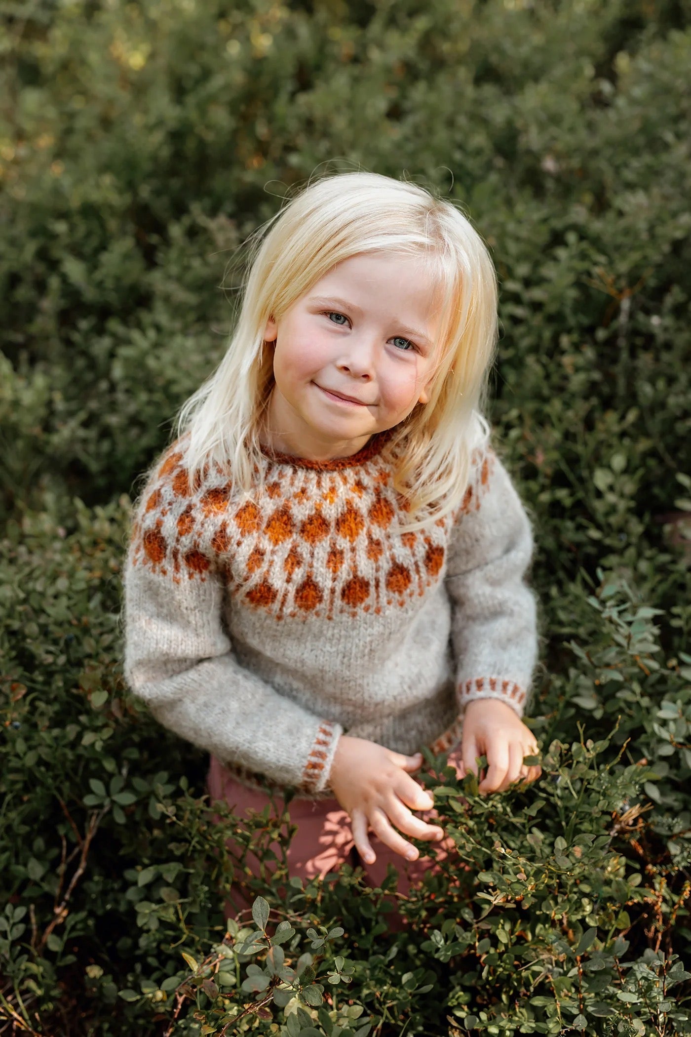 Cloudberry Sweater mini - garnkit från 295kr
