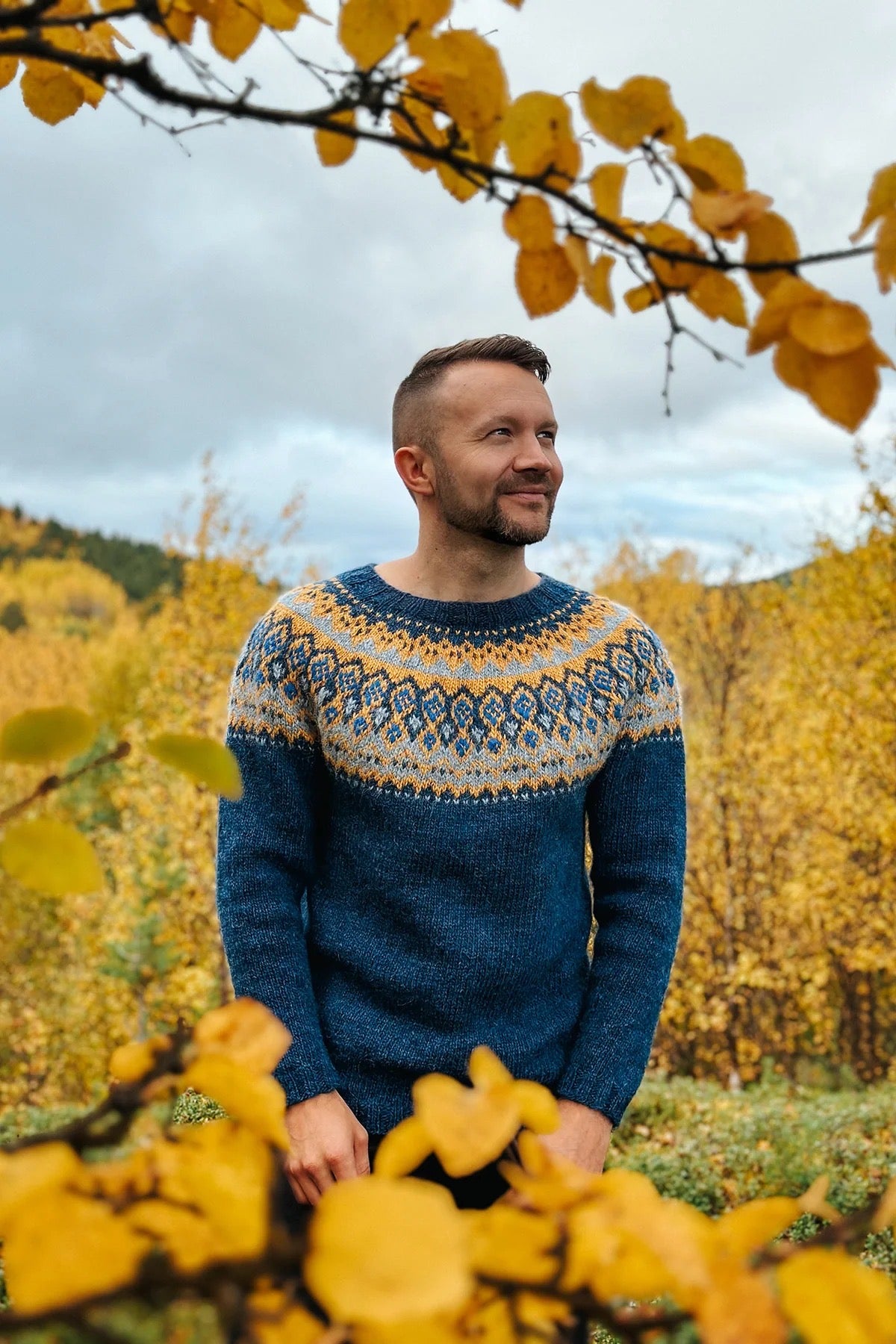 1927 Sweater Men – Léttlopi and Plötulopi Yarn Kit