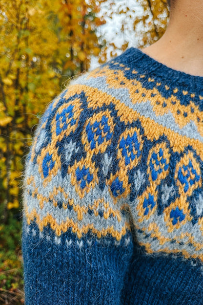 1927 Sweater men  - digitalt mönster