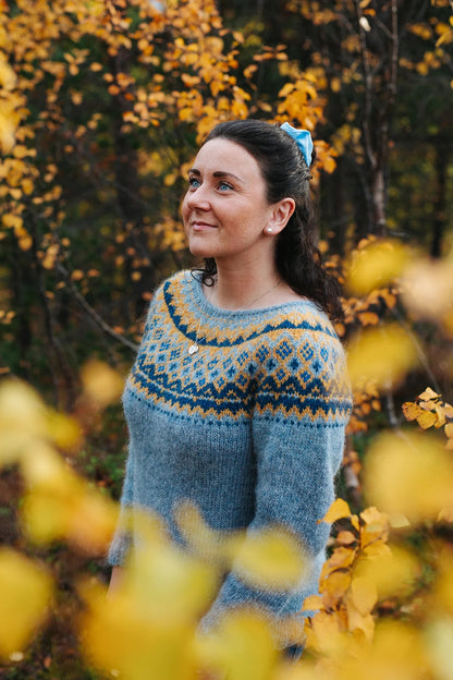 1927 Sweater woman - digitalt mönster