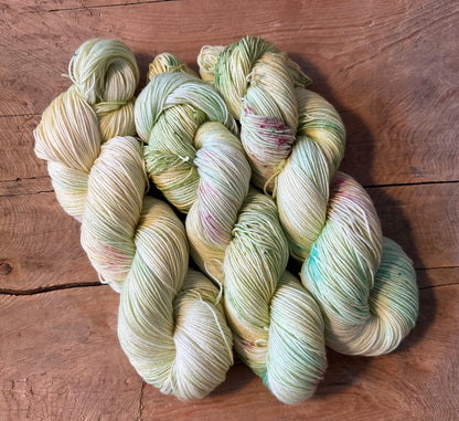 MOOIKE Summer Edition