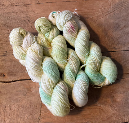 MOOIKE Summer Edition