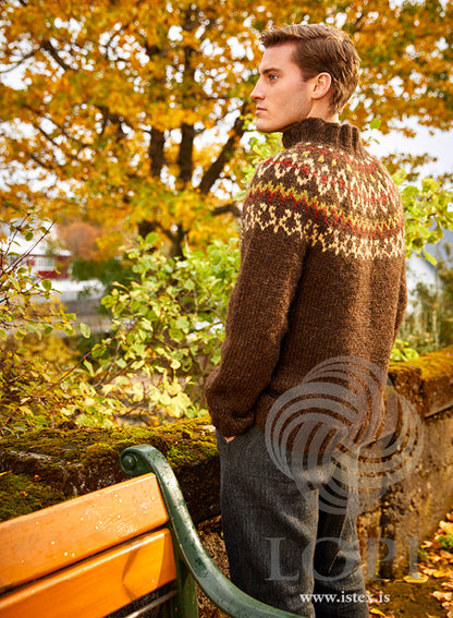 Hvammur - Icelandic Sweater in Alafosslopi
