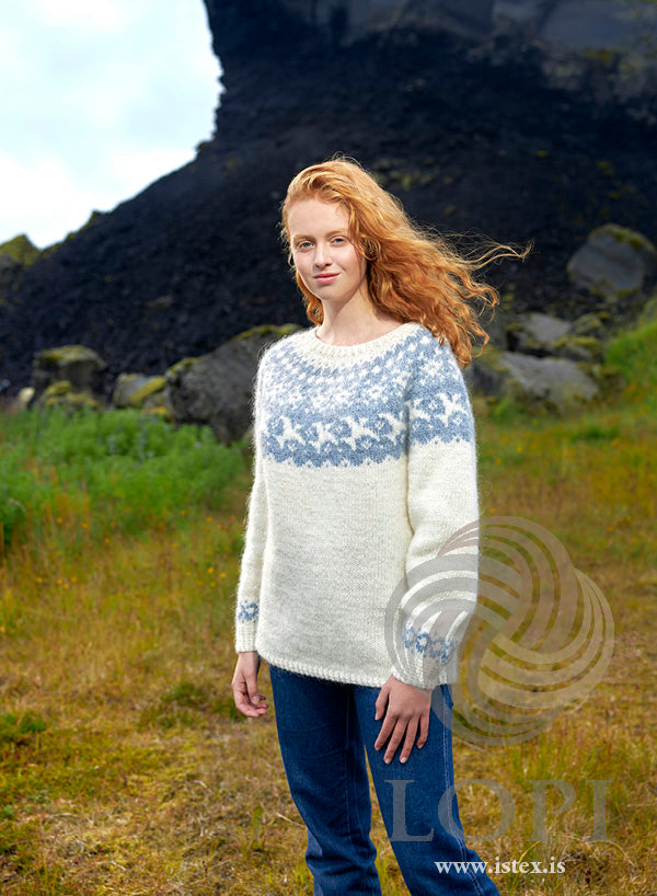 Migratory Birds - Icelandic sweater in Lettlopi
