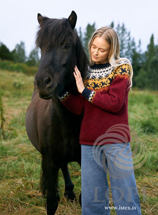 Migratory Birds - Icelandic sweater in Lettlopi