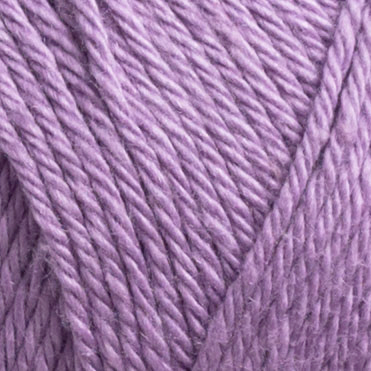 Lupine Purple